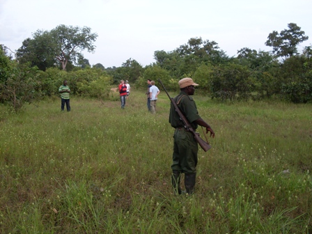 Op loop safari op zoek naar olifant